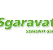 SGARAVATTI