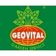 GEOVITAL SERVICE