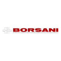 BORSANI ANGELO